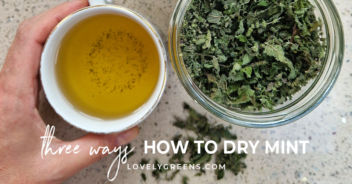How to Dry Mint Leaves for Tea: 4 Simple & Effective Methods